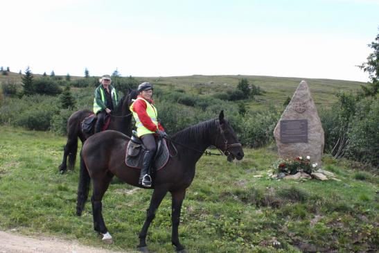 Besuch von Sonja und Greti mit Pferden